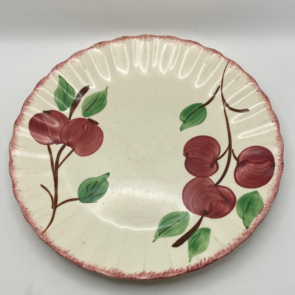Elegant Ceramic Dinner Plates (set of 4) with Floral Design